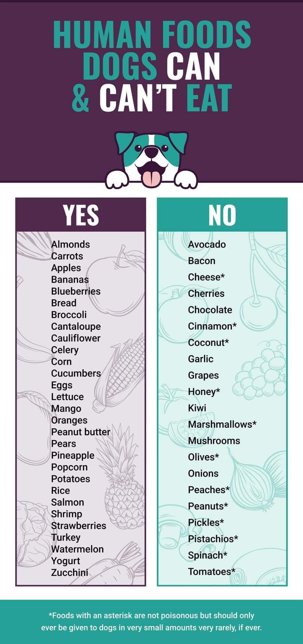 chart about human foods dogs can and can't eat